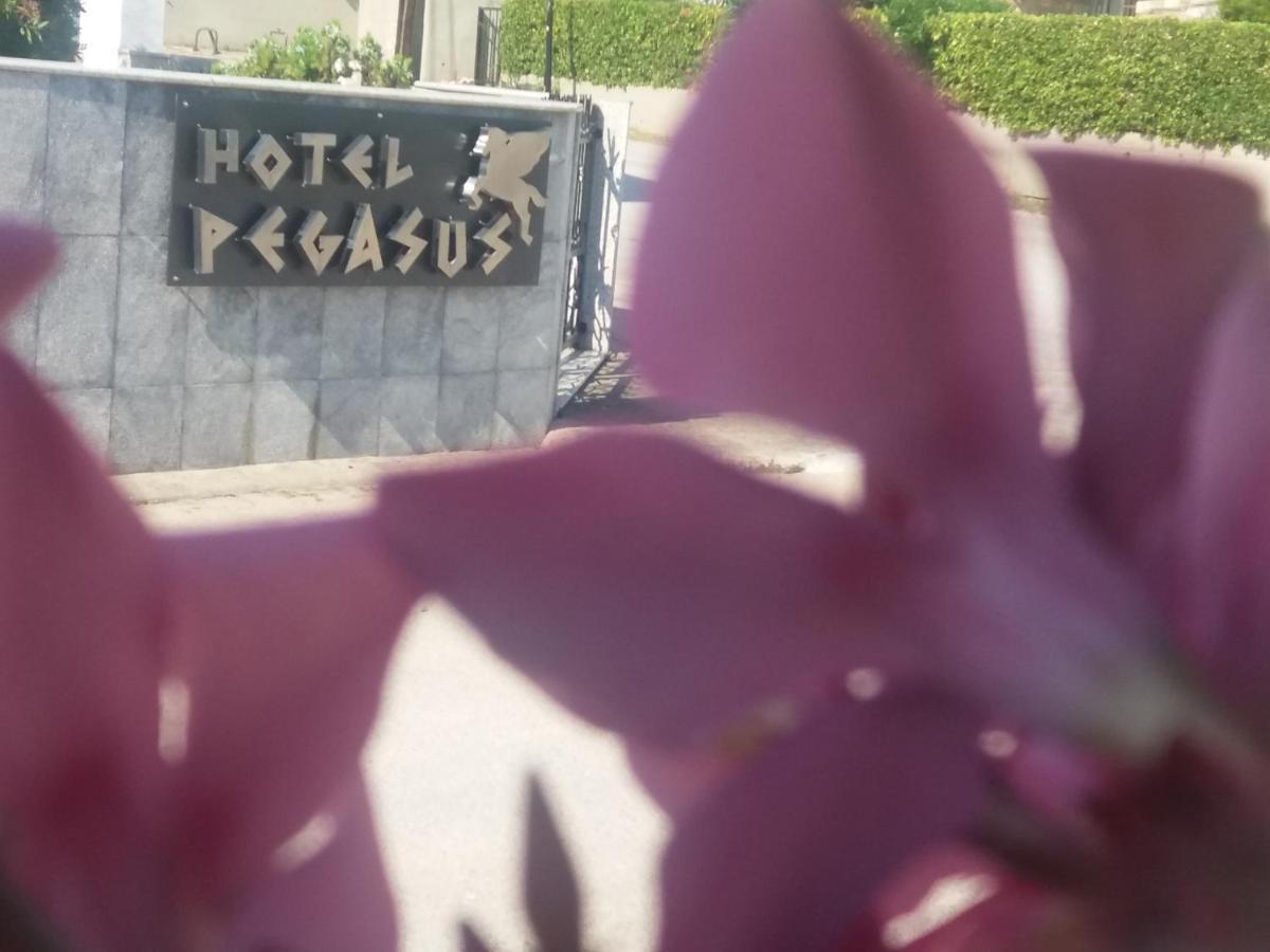 Aparthotel Pegasus